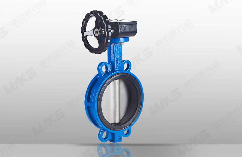 對夾中線蝶閥（蝸輪）