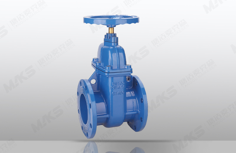 軟密封暗桿閘閥